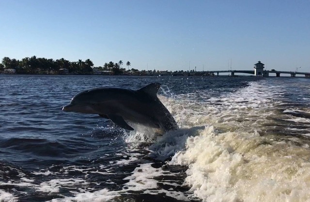Pet-Friendly/Family-Friendly Waterfront Vacation Rental + Free Boat Dockage!