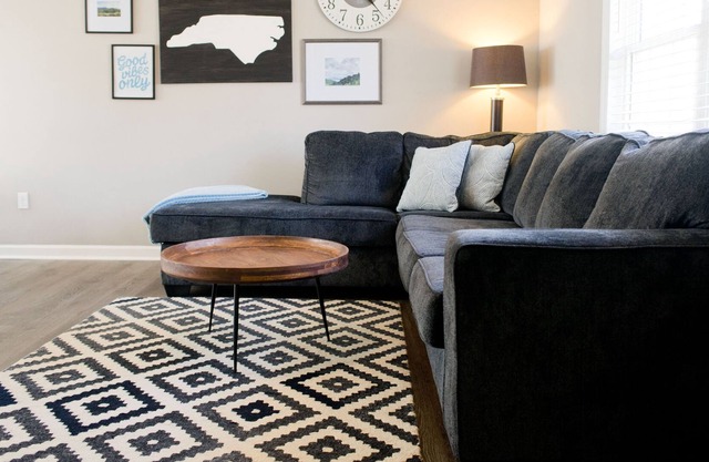 Pet Friendly Home With Hot Tub 5 Mins to Biltmore