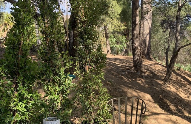 Pet Friendly Private Cozy Casita on 2 acre Property