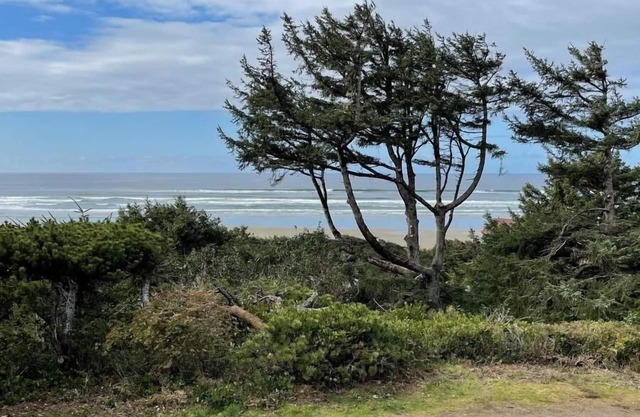 Pet friendly, single level ocean view house - Driftwood Heights