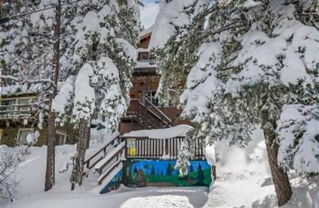 Pet Friendly, Walk to the Slopes. Trophy Treehouse with Views, BBQ and Firepit