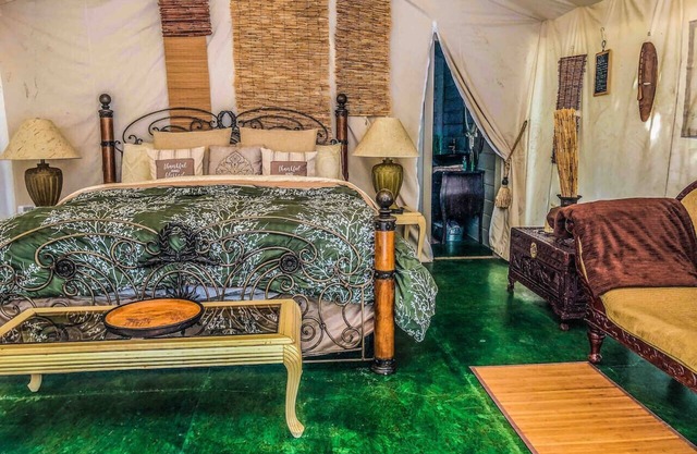Pet Friendly Zen Luxury Glamping tent