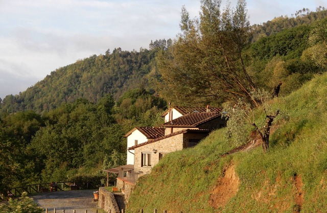 Peter's house Podere Sondino - apartment for 6 people