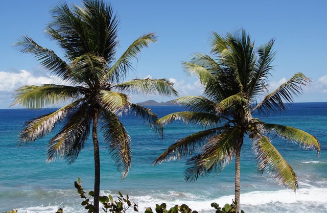 Petite Anse Hotel