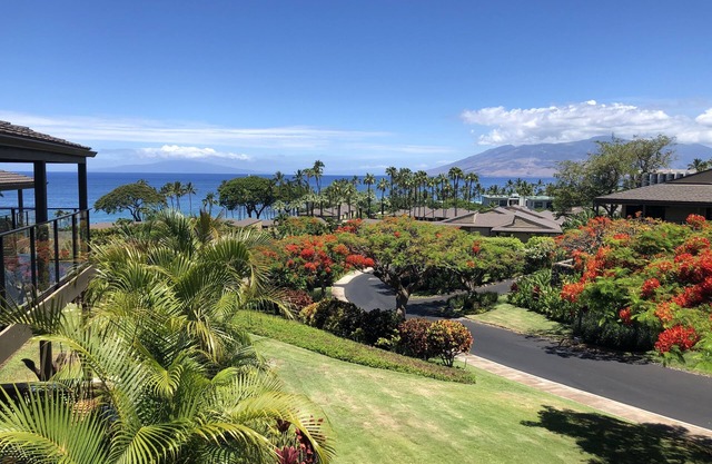 PICTURESQUE OCEAN VIEW CONDO - LAST MINUTE DEAL! BEAUTIFUL WAILEA AT ELUA 2002