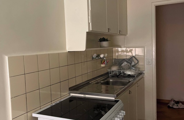 Pleasant apartment in the center of Geneva. Close to lake, station and amenities