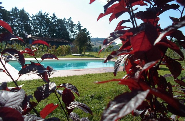 PODERE BENEVENTO Carmen house in farmhouse, exclusive terrace (40 sq m) and swimming pool
