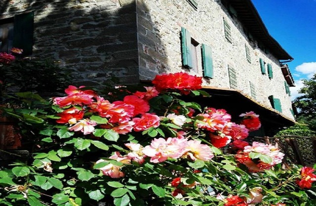 Podere I Rovai-apt IL RIFUGIO-amazing view Tuscany
