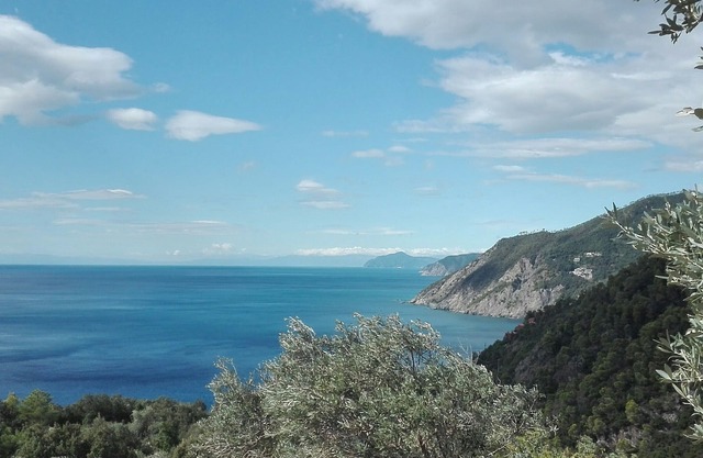 Poggio del Salice - Apt. Tigullio with terrace /4 people /Citra 011005LT0036