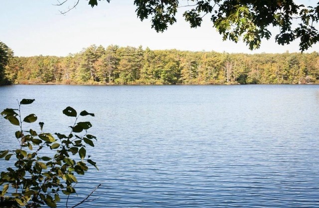 Pond side get away