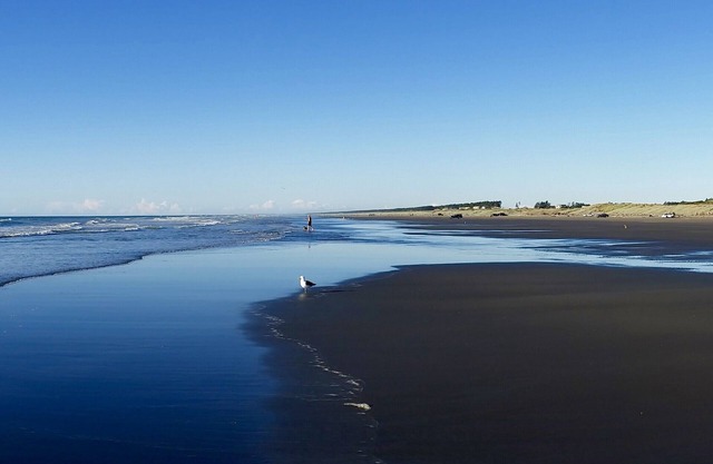 Ponderosa - Waitarere Beach Bach