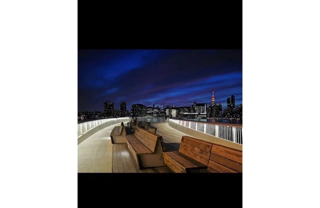Popular L.I.C Apartment - 1 stop from Manhattan