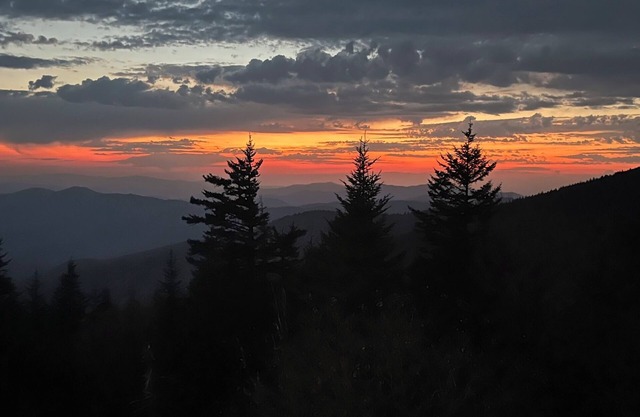 Premier Family Retreat in the Smokies!