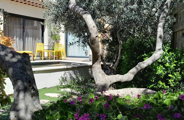 Pretty little house with swimming pool between Mont Ventoux and Luberon