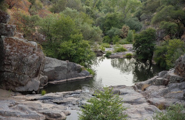 Private 40-acre retreat with creek, swimming hole, sleeps 18, dog-friendly, near golf & casinos.