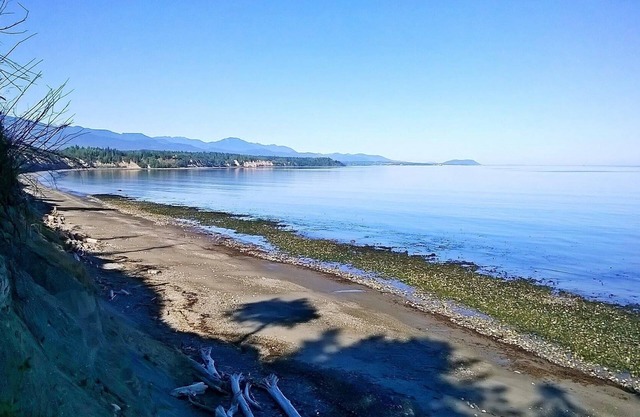 Private Beach Access Trail And Peaceful Wooded Setting