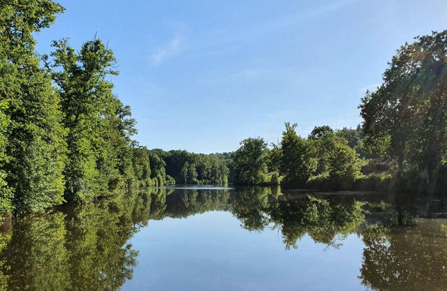 Private lake & forest in the Dordogne: absolute calm in a comfortable gîte