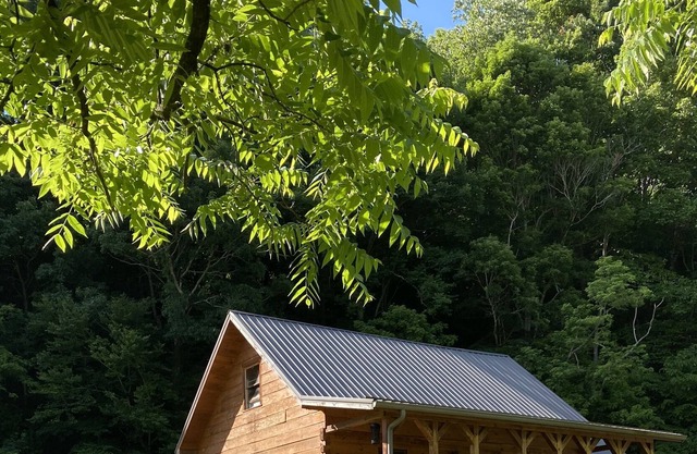 Private Mountain Cabin Near Famous Bicycle Virginia Creeper Trail