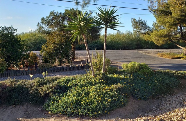 Private Spacious 3BR Ranch Home, Centrally Located