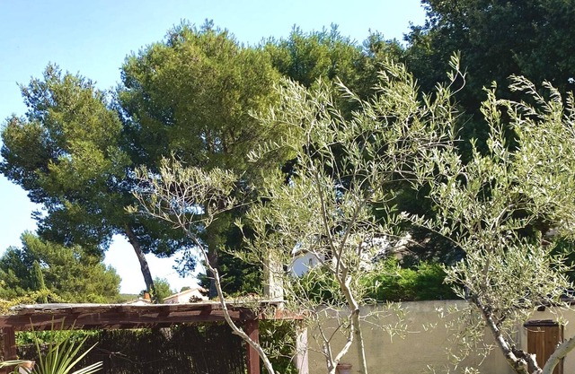 Provencal villa 150 m2 on 1000 m2 in a quiet location