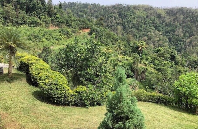 Providence ,Charming 3-bedroom cottage with WiFi and AC in Mahaut.