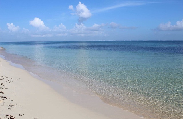 Puerta del Mar Cozumel