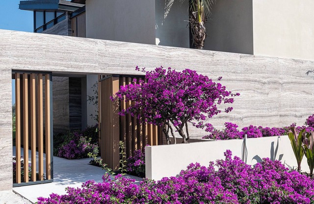 Punta Pacífico 7 in Pacífico Estates by Mita Residential. Staff, Golf Carts, Cinema, Pool
