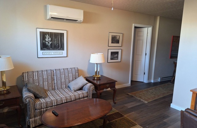 Quiet Spacious 1-BR in Downtown Pulaski - Great for business professionals.