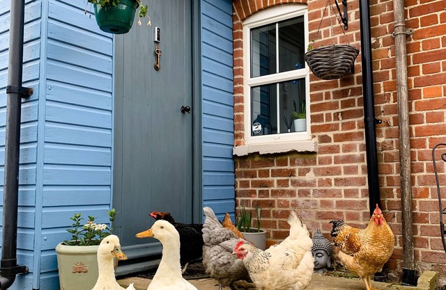 Quirky Victorian Farm Cottage Next to Rendlesham Forest and Close to the Beach