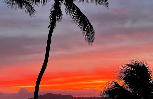 RARE find! Stunning Views! 3-BR house with pool, WiFi, AC in quiet Honolulu area