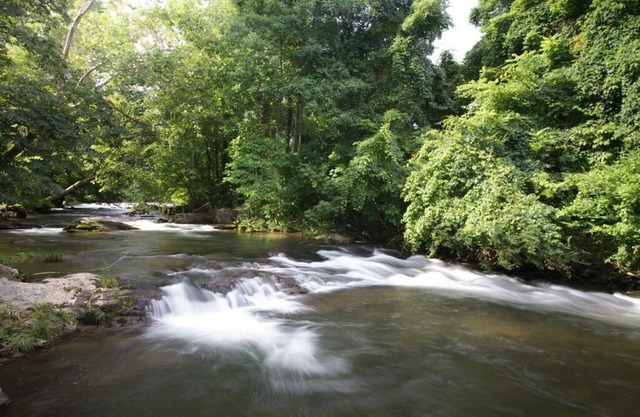 REAL LOG CABIN - TROUT STREAM - 25 MIN TO GATLINBURG - 7 MIN TO NATIONAL PARK