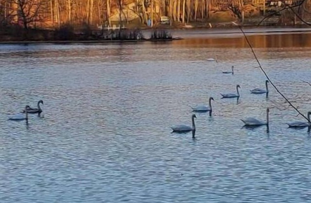 Red Cottage - Papakeechie - Secluded - Swim - Bonfires - Fish - Relax