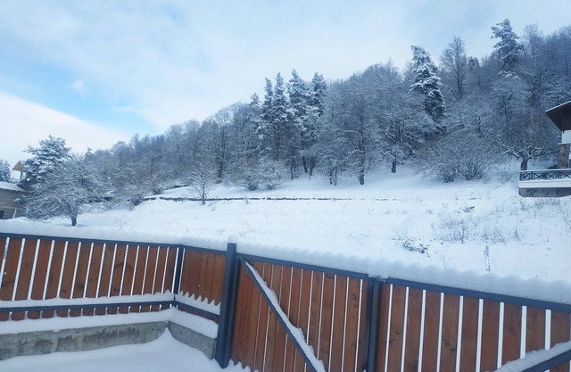 RELAX AND ENJOY AT VILLA BAYERN IN BAKURIANI