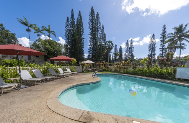 Relax and Unwind! 2 Spacious Units, Outdoor Pool and Free Parking!