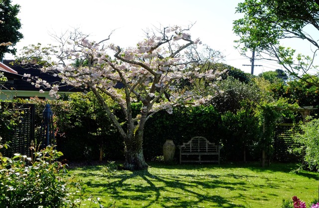 Relax in a quiet Garden Retreat