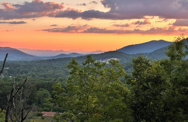 Relax in our cozy Black Mountain Cottage, near Blue Ridge Parkway