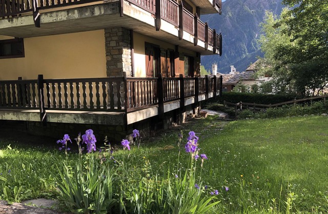 Relaxation and nature in the mountains