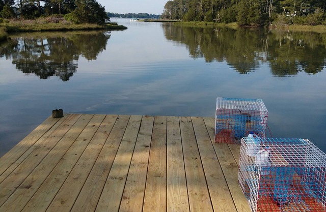 Remote/Secluded Estate with Plenty of Crabs, Dock and Cooking Station