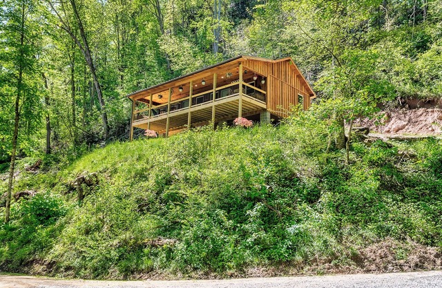 River cabin on 45 acres of private mountain land PET FRIENDLY
