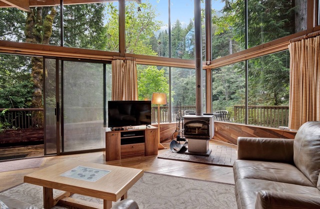 Riverfront cabin with soaring views of mountains & woodstove - dog-friendly
