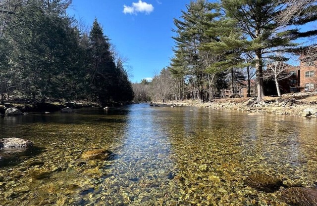 Riverfront Retreat in Deer Park