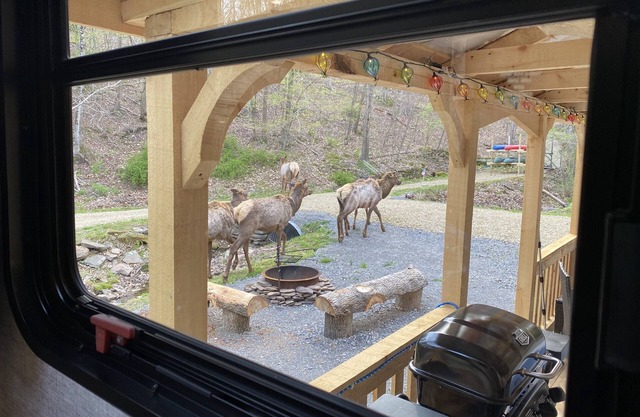 Rivers, private elk viewing, FREE amenities, site on 62 acres