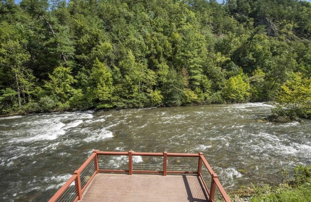 Riverside Premium Cabin