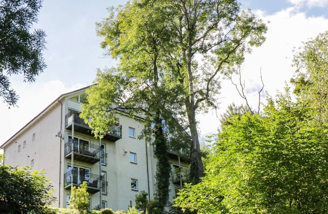 RIVERVIEW RETREAT, pet friendly in Blairgowrie