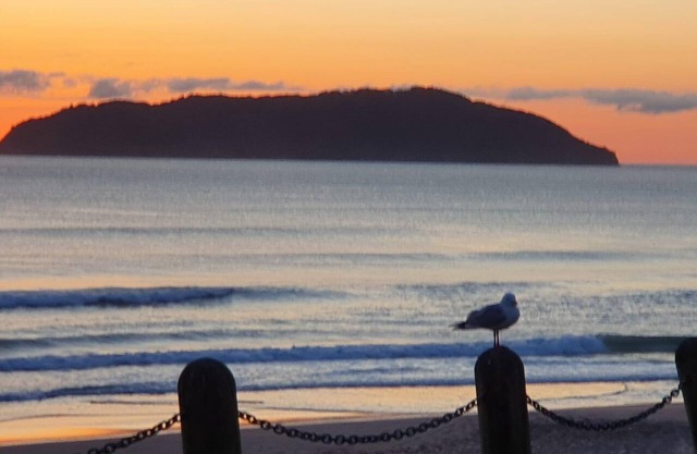 Roberts Beach Escape in Tairua is 3-5 minute walk from the beach