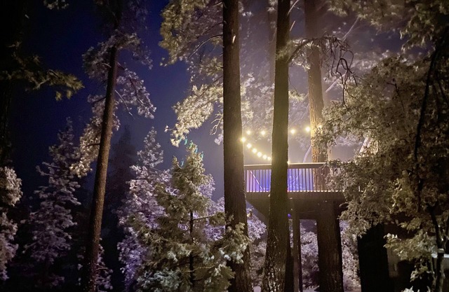 Romance In The Pines
