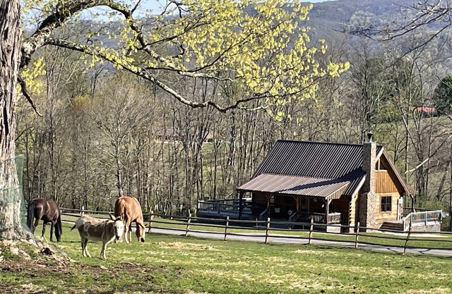 Romantic "Morning Glory” for 2 has a tranquil setting across from a horse farm!