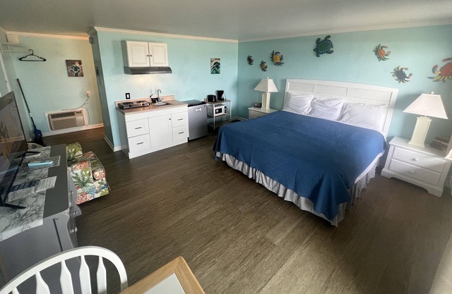 Room #205 Mini Efficiency King Bed Pets Yes