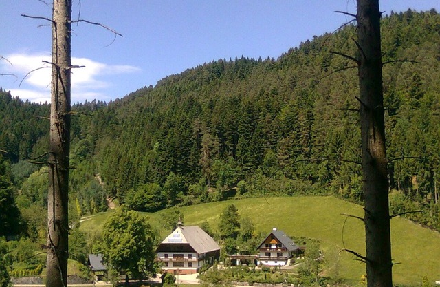 Room 'Talblick' with Mountain View, Balcony and Wi-Fi