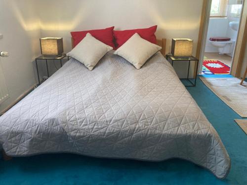 Ruhiges ganzes Apartment 45 m zwei Zimmer Grosses Bad Badewanne Kochnische